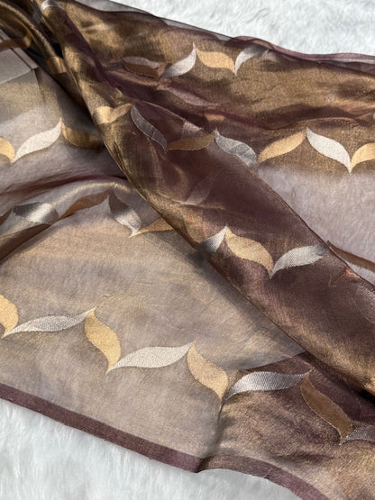 Garnet Floral Shades Pure Tissue Handloom Silk Saree PT-24