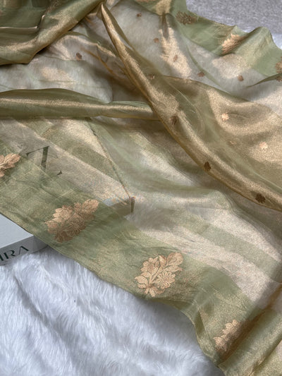 Pista Floral Shades Pure Tissue Handloom Silk Saree PT-26