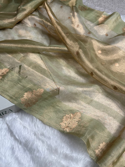 Pista Floral Shades Pure Tissue Handloom Silk Saree PT-26