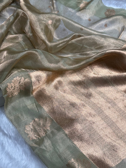 Pista Floral Shades Pure Tissue Handloom Silk Saree PT-26