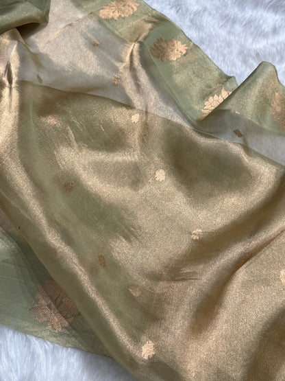 Pista Floral Shades Pure Tissue Handloom Silk Saree PT-26