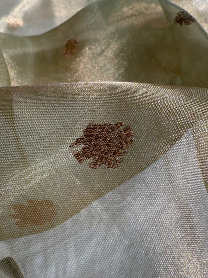 Pista Floral Shades Pure Tissue Handloom Silk Saree PT-26