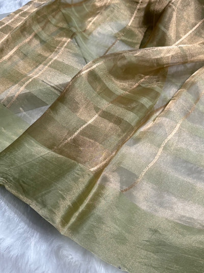 Pista Floral Shades Pure Tissue Handloom Silk Saree PT-26