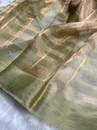 Pista Floral Shades Pure Tissue Handloom Silk Saree PT-26
