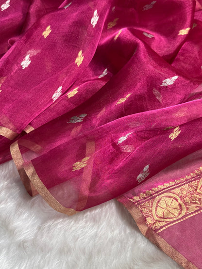 Rani Floral Shades Pure Tissue Handloom Silk Saree PT-30