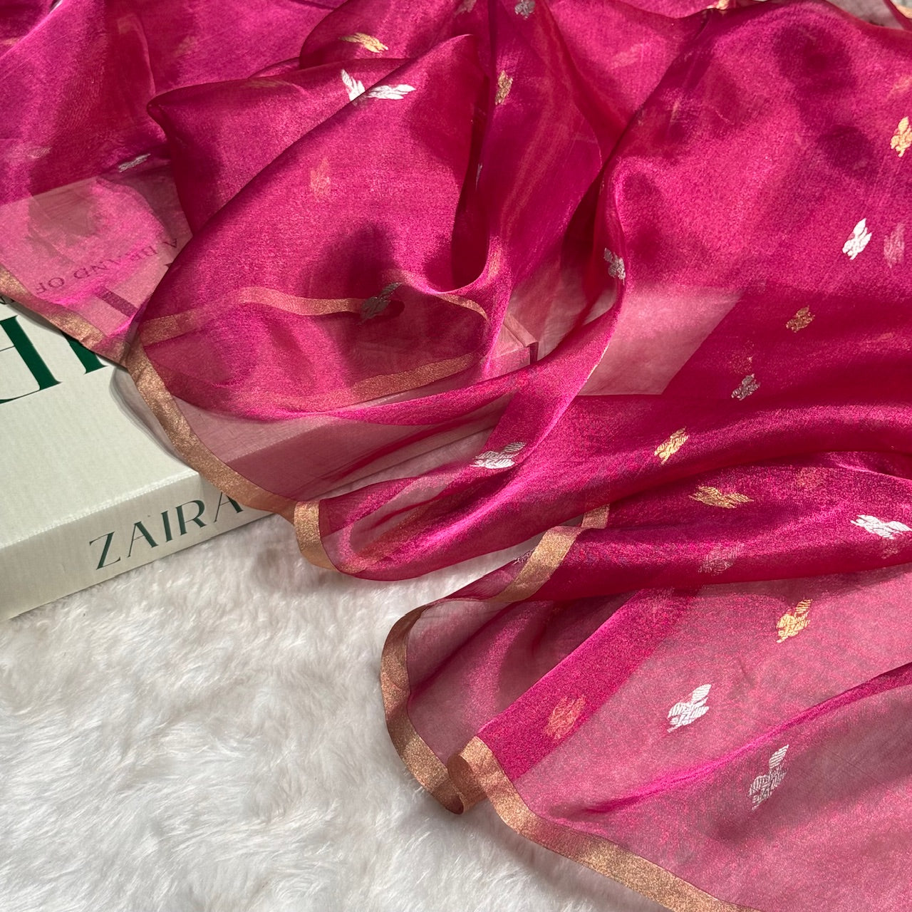 Rani Floral Shades Pure Tissue Handloom Silk Saree PT-30