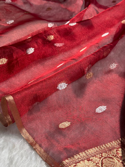 Red Floral Shades Pure Tissue Handloom Silk Saree PT-28
