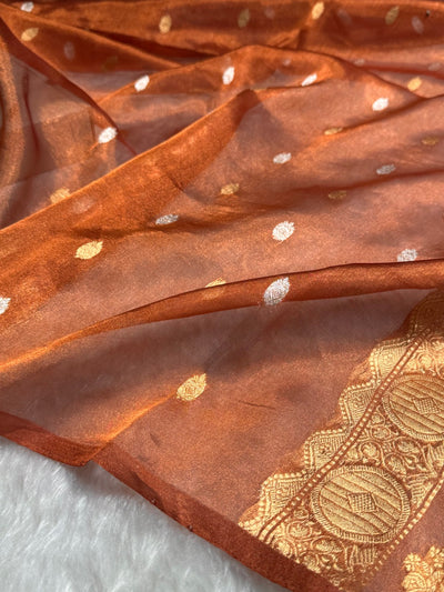 Rust Floral Shades Pure Tissue Handloom Silk Saree PT-29