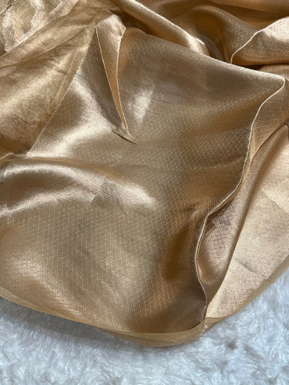 Cross Brown Shades Pure Tissue Silk Saree with Brocade Blouse PT-19
