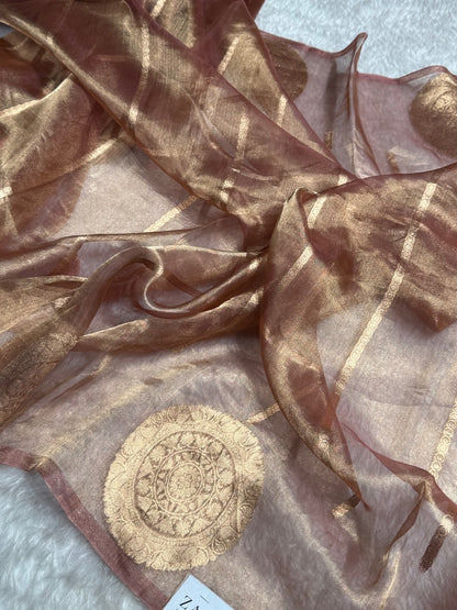Pastel Brown Round Boota Pure Tissue Silk Saree with Brocade Blouse PT-20