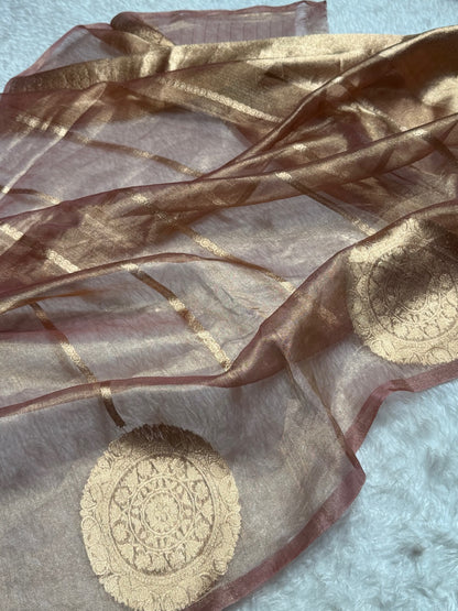 Pastel Brown Round Boota Pure Tissue Silk Saree with Brocade Blouse PT-20