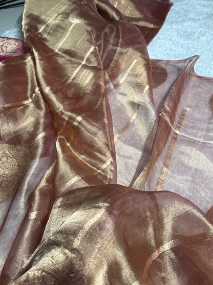 Pastel Brown Round Boota Pure Tissue Silk Saree with Brocade Blouse PT-20