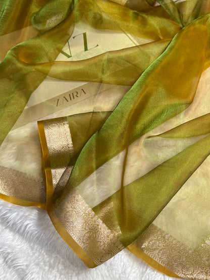 Mehandi Shades Pure Tissue Silk Saree with Brocade Blouse PT-09